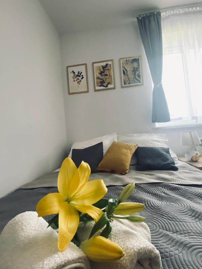 Apartamenty Majka ซาตอร์ ภายนอก รูปภาพ